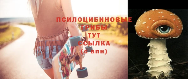 круглые Абаза