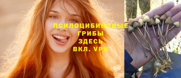 круглые Абаза