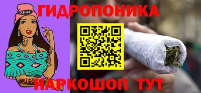 шишки Вязьма