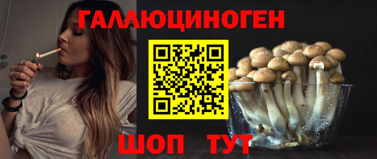 Псилоцибиновые грибы Psilocybe Кинешма